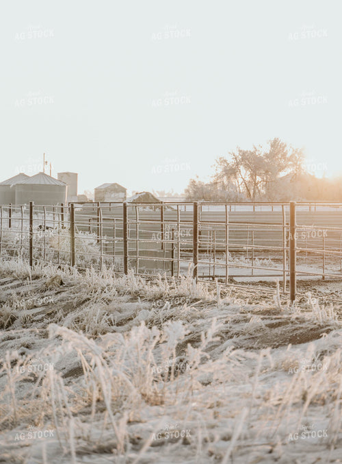 Ice on Fence 185101