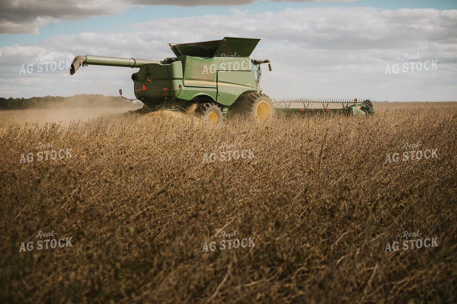 Soybean Harvest 6910