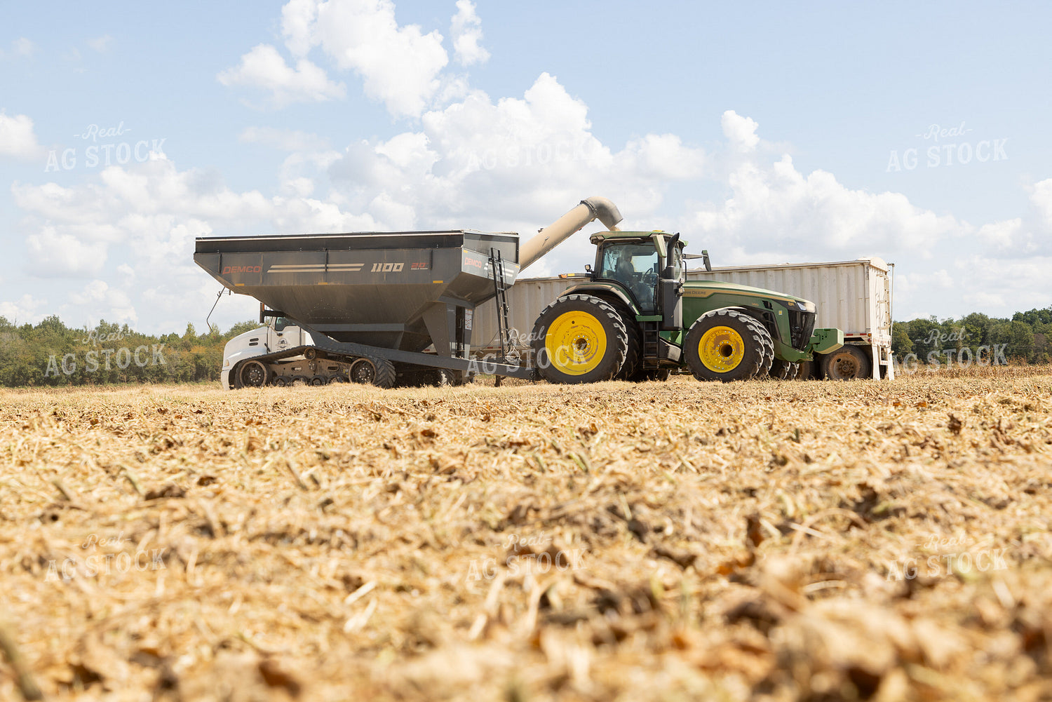 Unloading Rice 79854