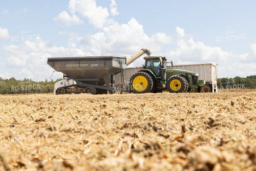 Unloading Rice 79854