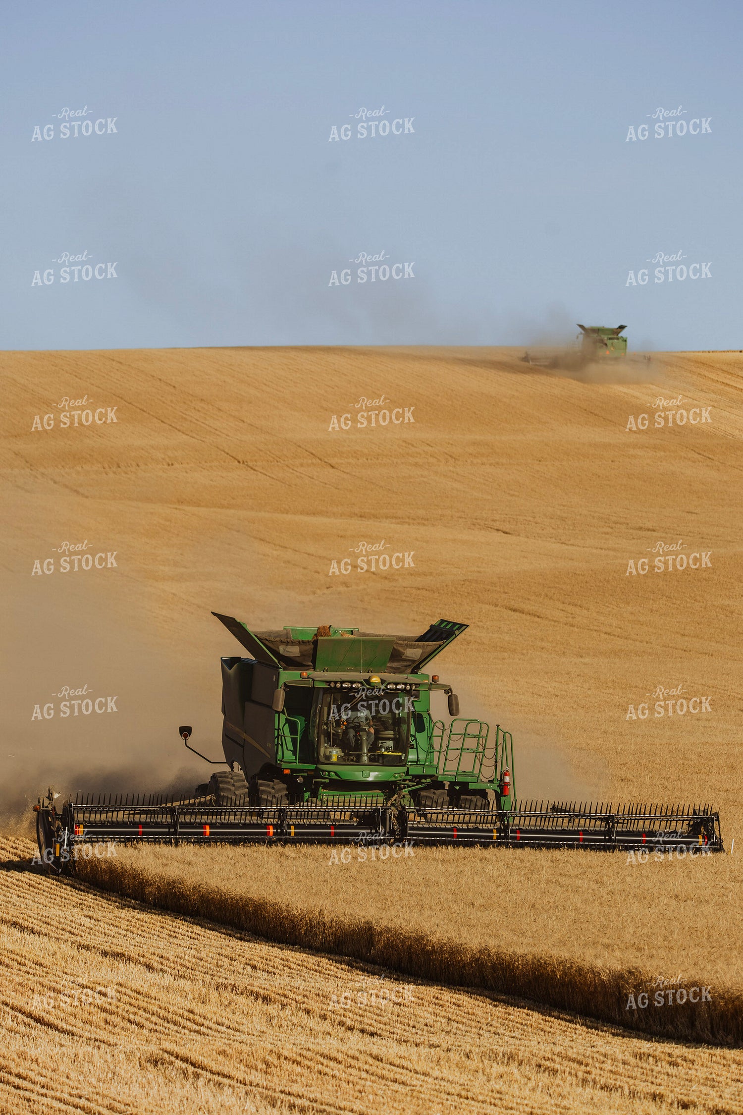 Wheat Harvest 187324