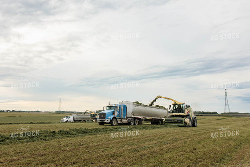 Harvesting Haylage 152801