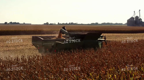 Corn Harvest 287044