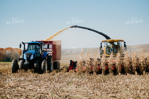 Silage Harvest 118009