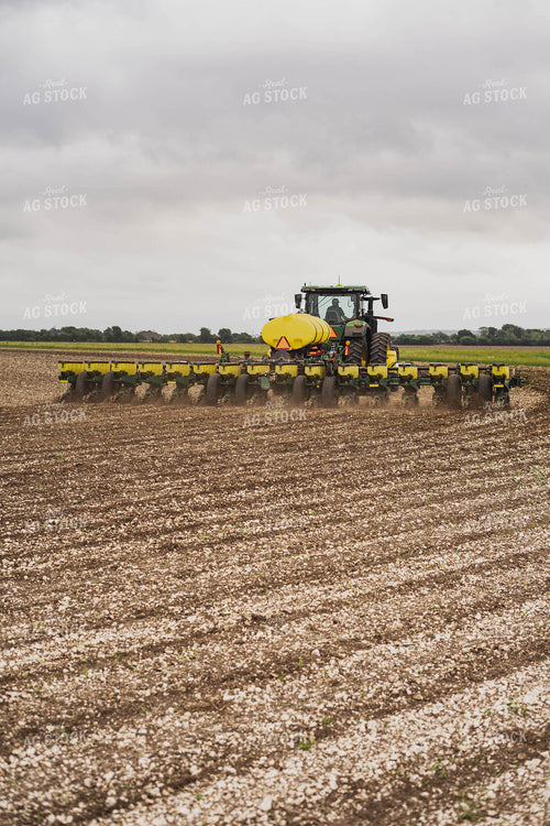 Planting 91059