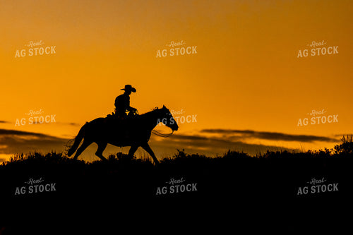 Cowboy Silhouette 188172