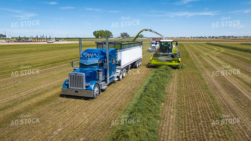 Forage Harvester Chopping Hay 56482