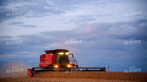 Combine Harvesting Soybeans 25756