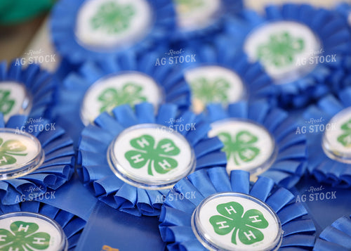 4-H Ribbons 160220
