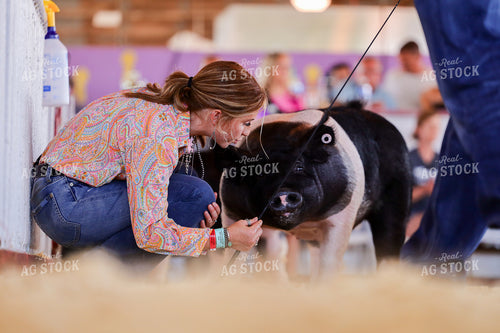 Showing Pigs 116014