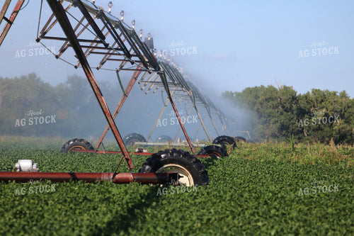 Irrigation System in Field 82090