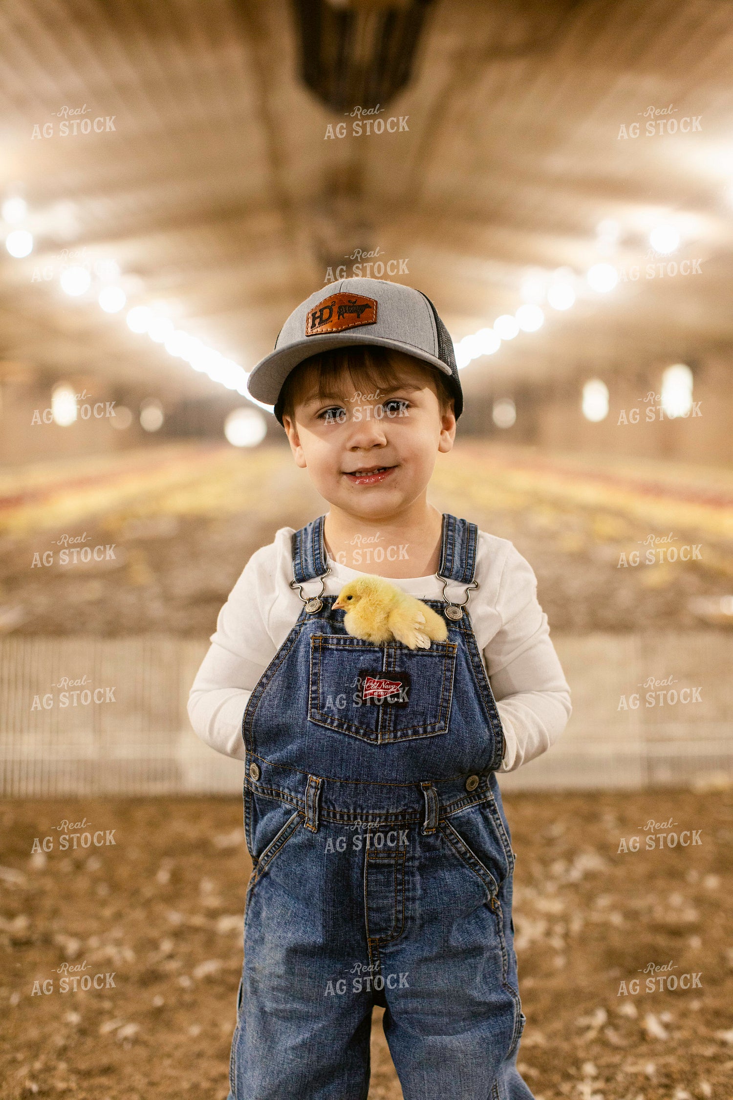 Farm Kid in Chicken Barn 280015