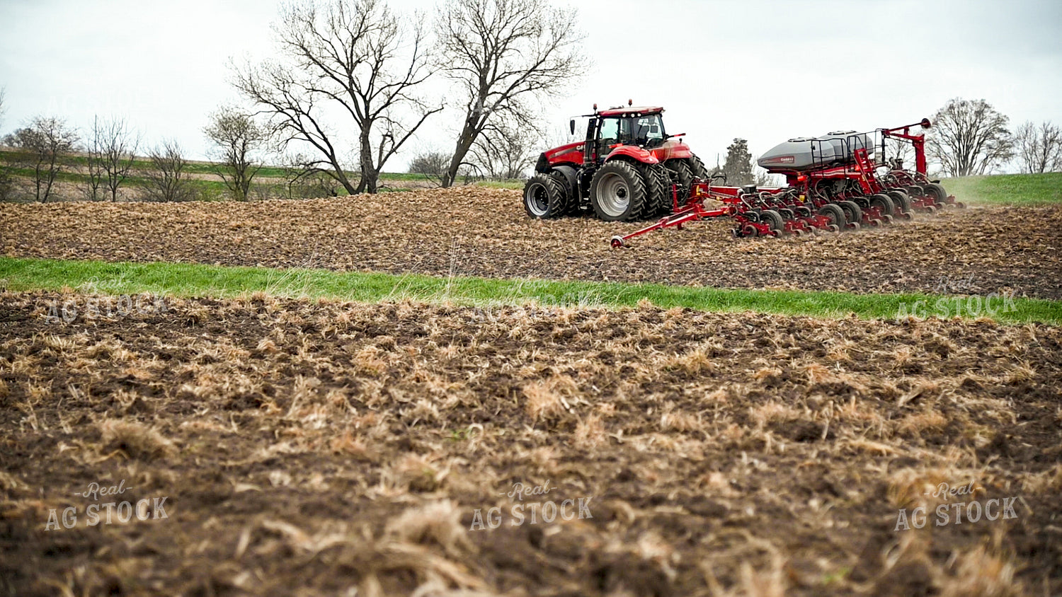 Planting into Tilled Cover Crops 25159