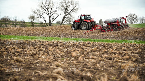 Planting into Tilled Cover Crops 25159