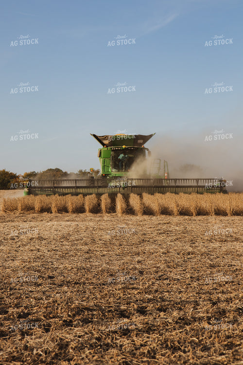 Soybean Harvest 67268