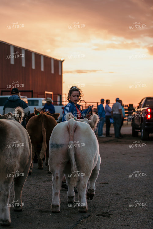 Farmer and Cow 98030