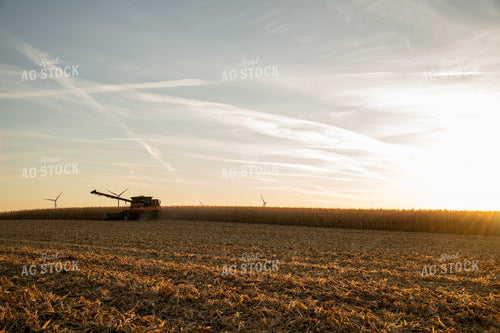 Combine Harvesting Corn at Sunset 25843