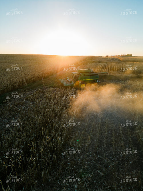 Aerial of Corn Harvest 67525