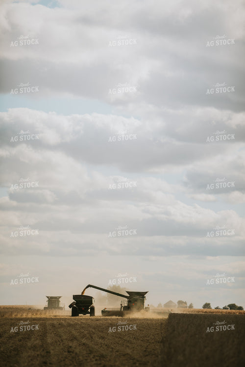 Soybean Harvest 6860