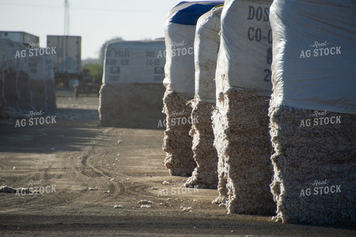 Cotton Bales 105042
