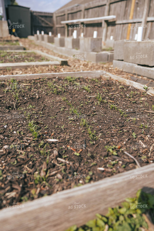 Raised Garden Bed 162032