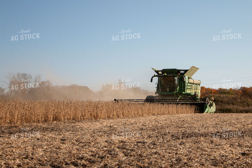 Soybean Harvest 157146