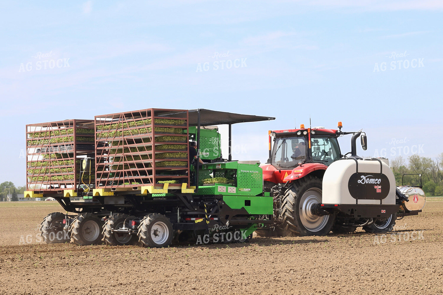 Planting Tomatoes 109176