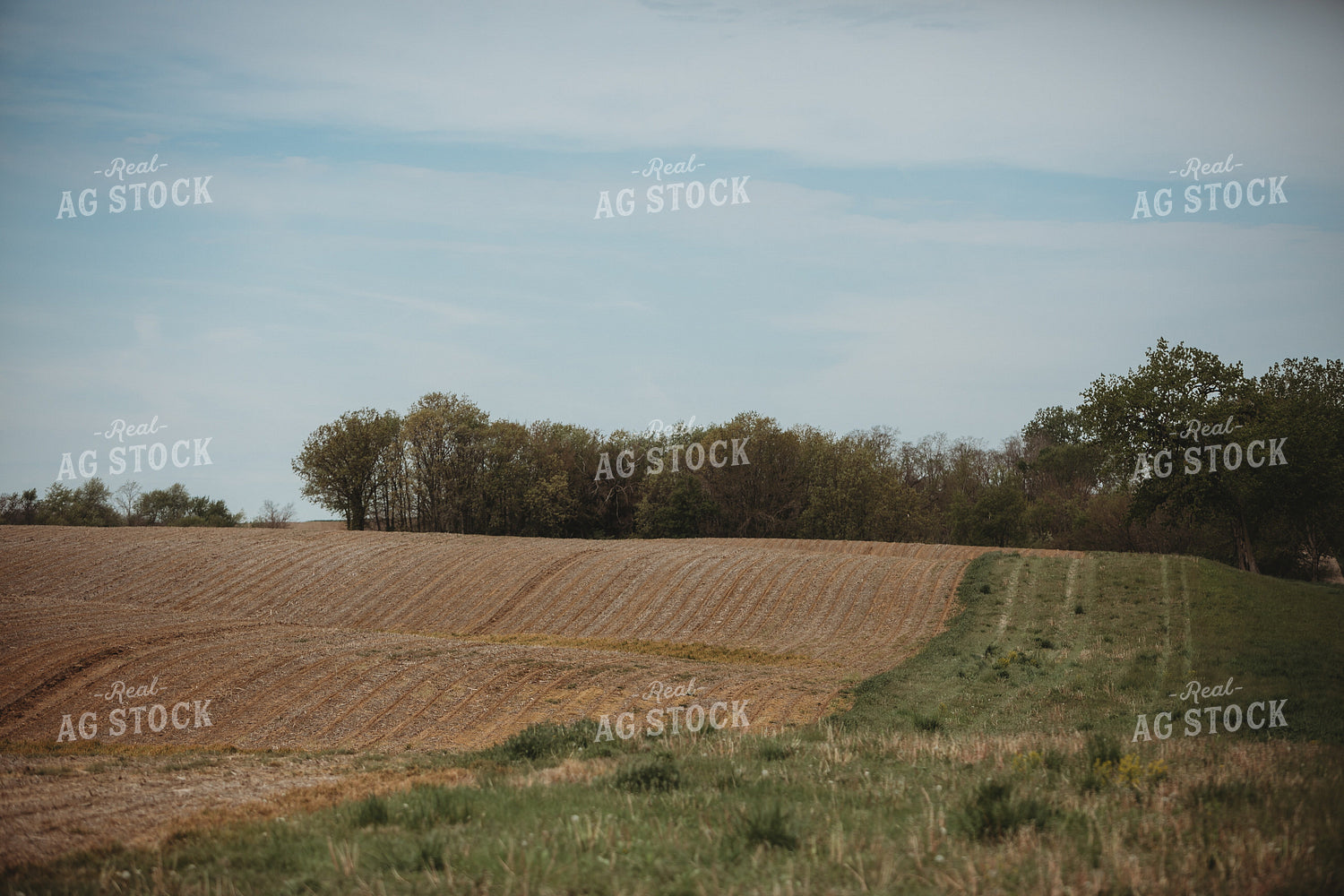No Till Field 4018