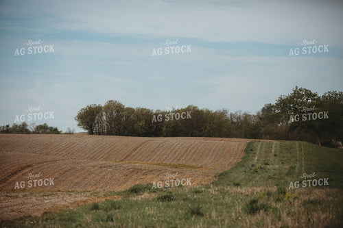 No Till Field 4018