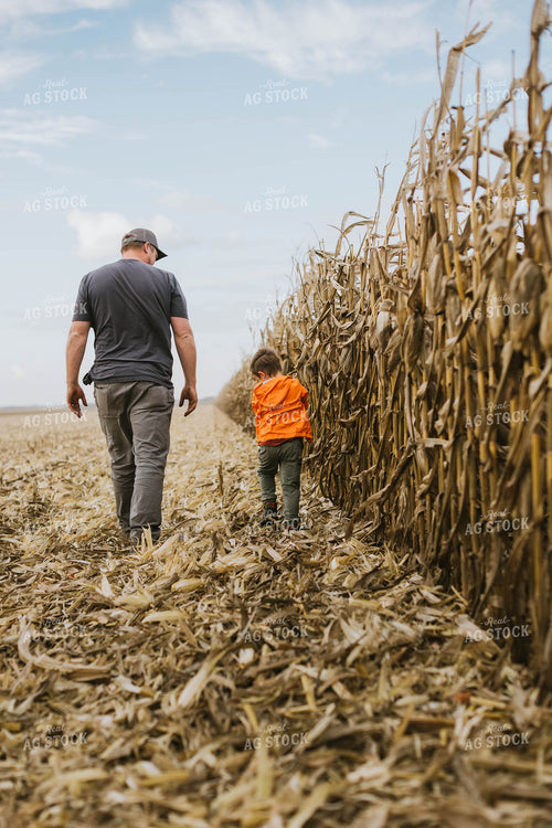 Farmer and Son Checking Corn 8534