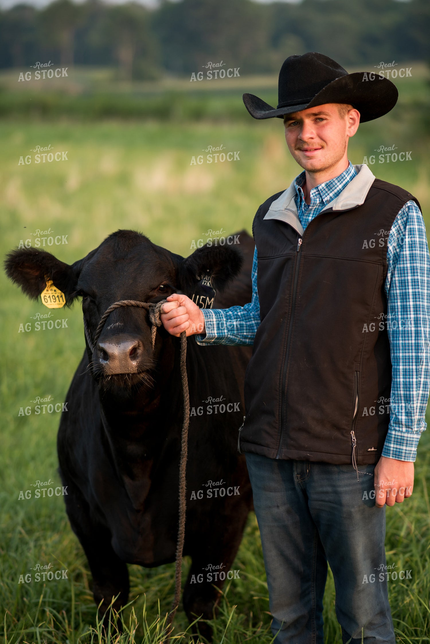 Farm Kid with Show Cow 76729