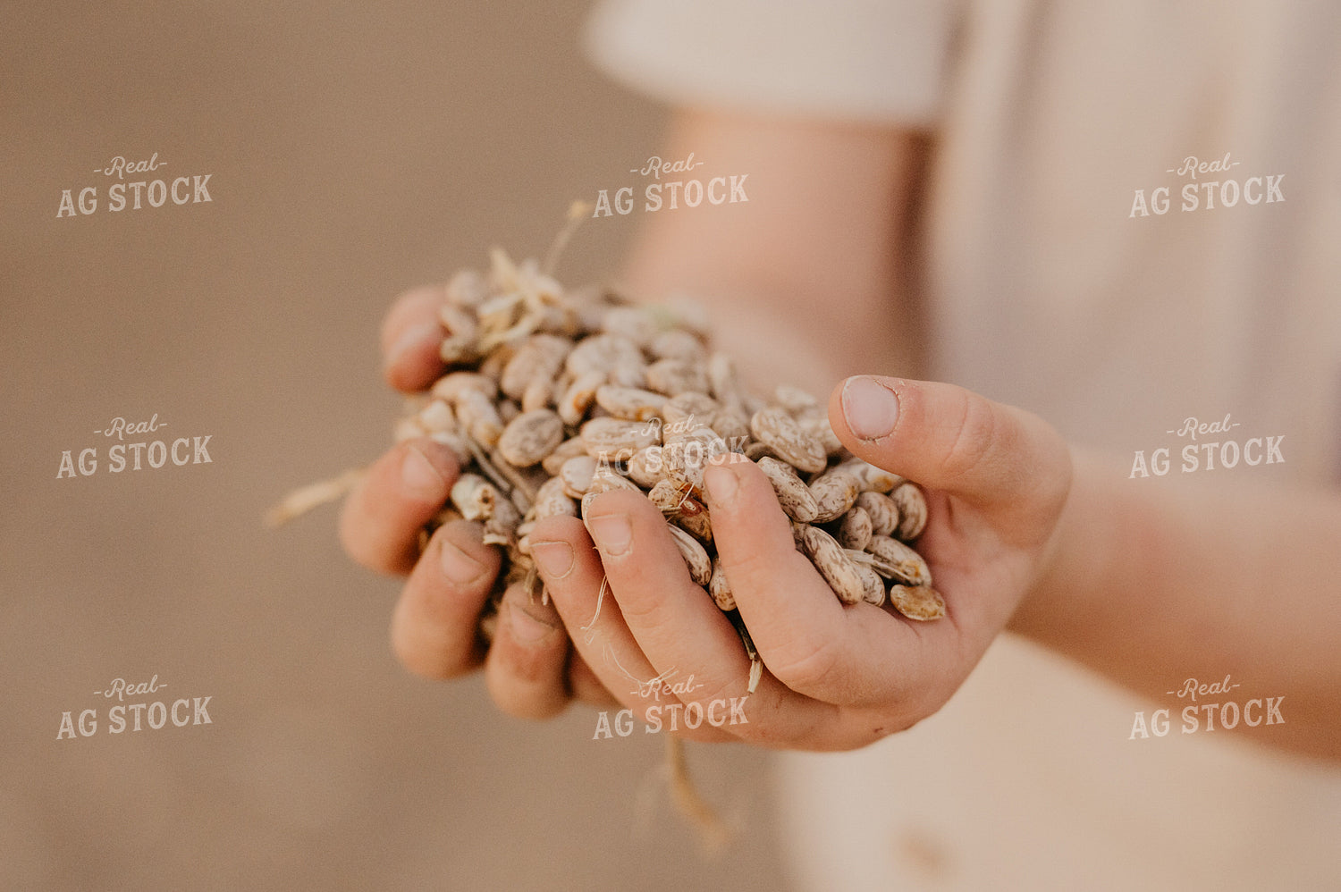 Farm Kid Holding Pinto Beans 185134