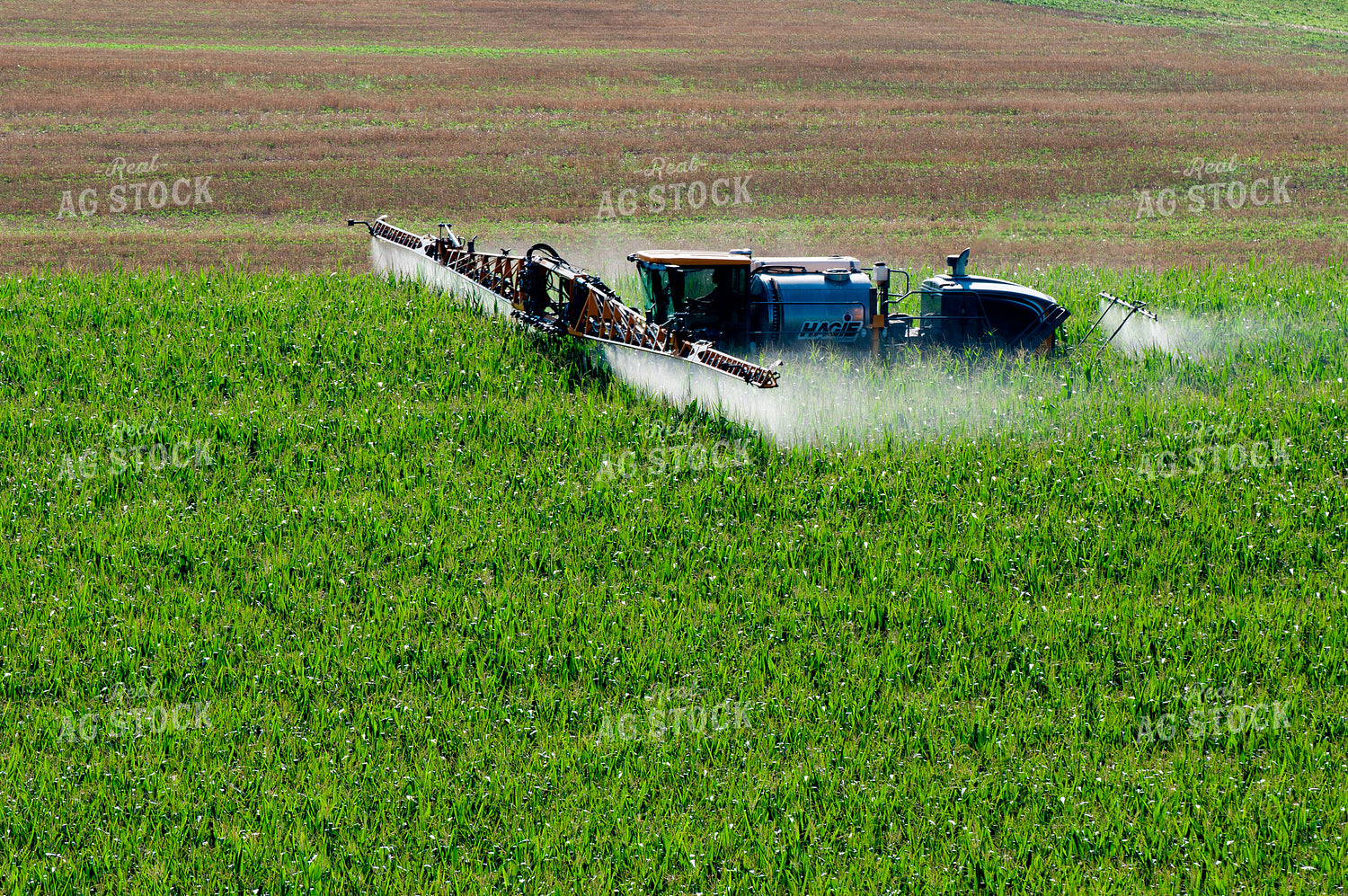 Sprayer in Field 103013