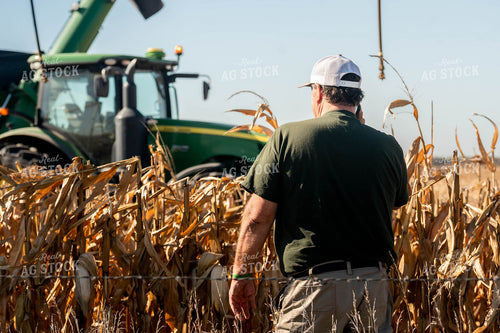 Farmer in Cornfield 185051