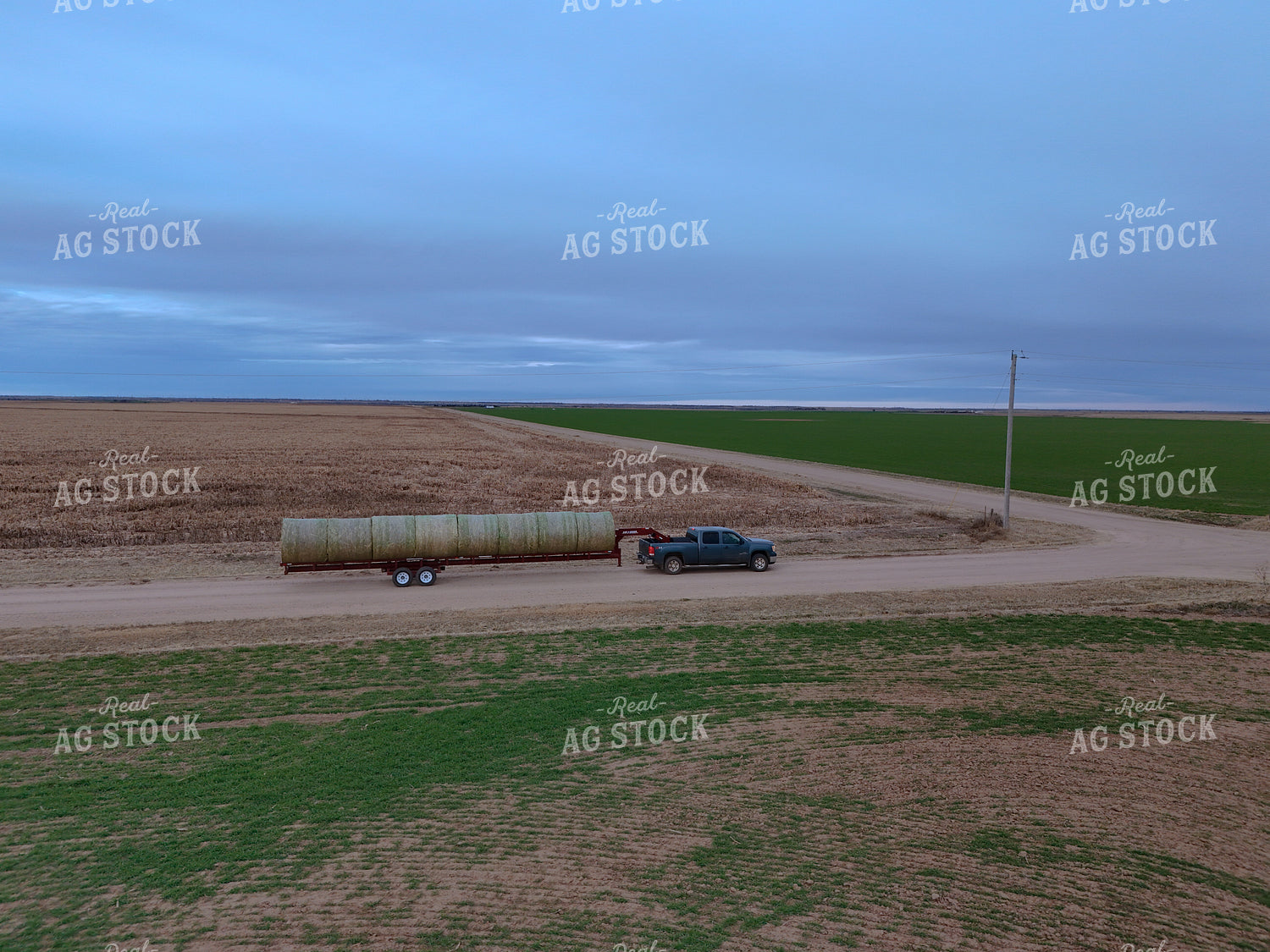 Moving Round Bales on Trailer 239413