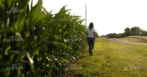 Farmer Walking Along Corn Field 6057