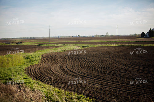 Planting 1912