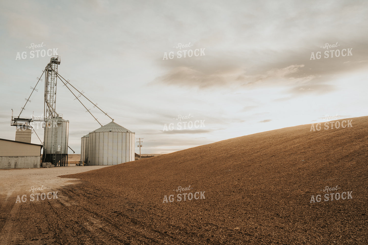 Uncovered Silage Pile 61267