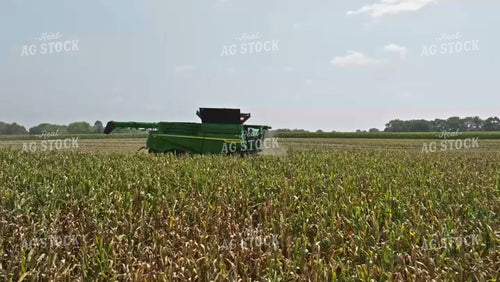 Corn Harvest 92060
