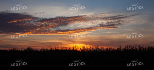 Sunset over Corn Field 132106