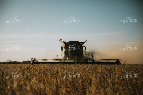Soybean Harvest 7201