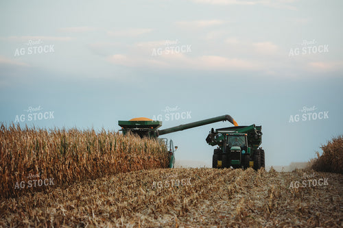 Combine Picking Corn and Filling Grain Cart Cutting Through Field 3435