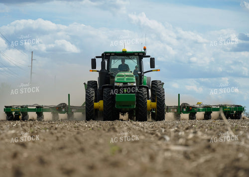 Planting 65411