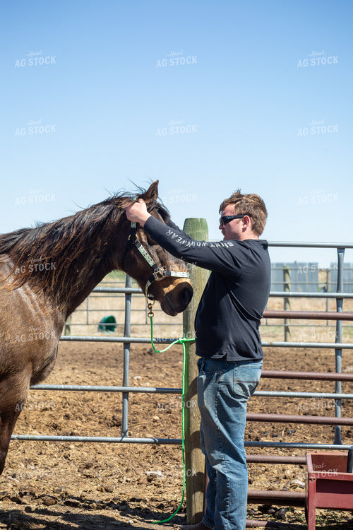 Farmer Grooming Horse 155589
