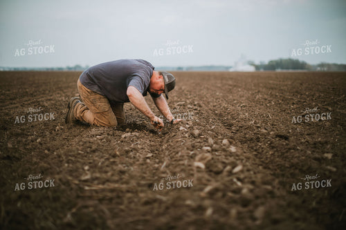 Farmer Checking Seed Depth 5682