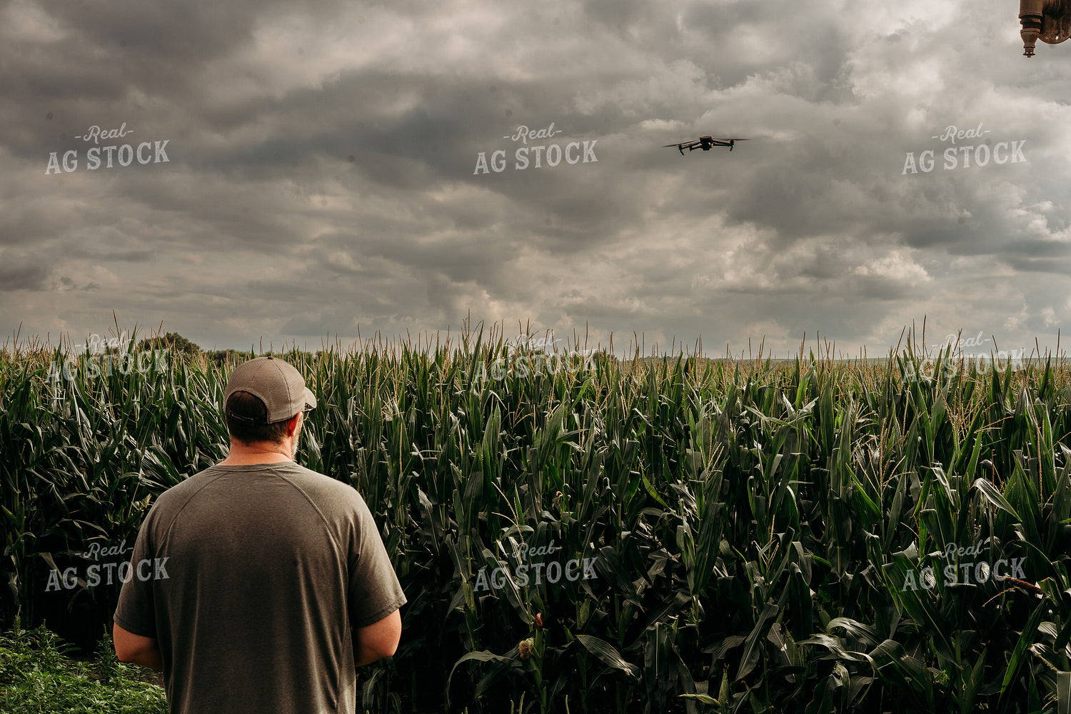 Scouting Fields With Drone 196357