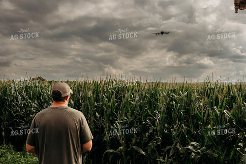 Scouting Fields With Drone 196357