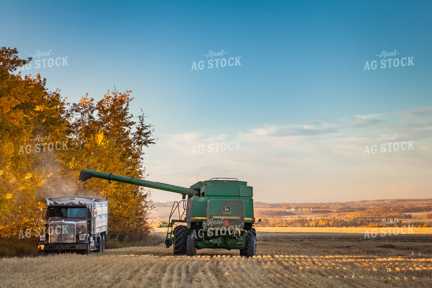 Harvest 138122