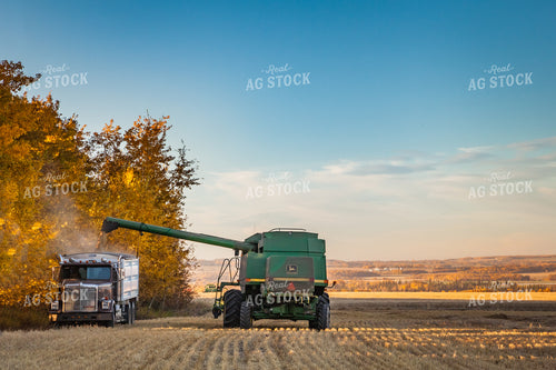 Harvest 138122