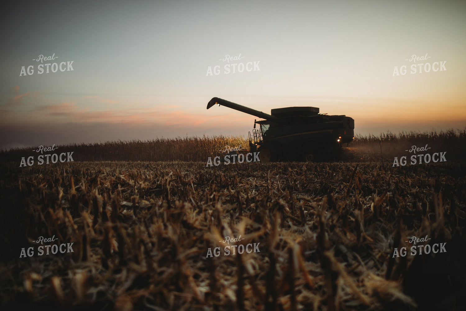 Combine Picking Corn with Lights On at Dusk 3407